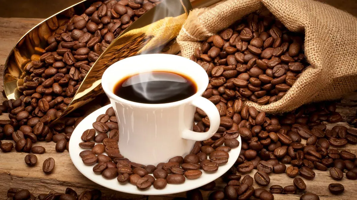 https://shp.aradbranding.com/قیمت قهوه هسته خرما بوشهر + خرید باور نکردنی